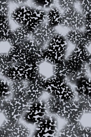 动物纹印花华亿平台图片