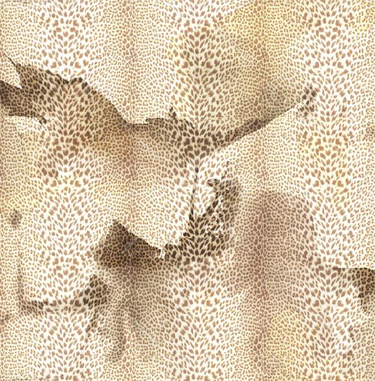 豹纹印花华亿平台图片