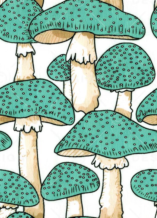 蘑菇印花华亿平台图片