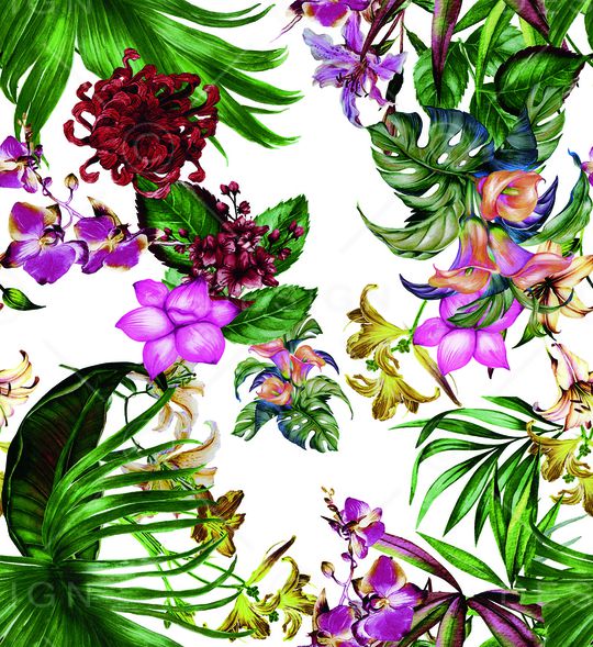 淑女印花华亿平台图片