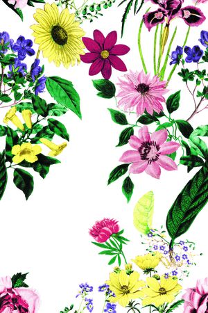 淑女印花华亿平台图片