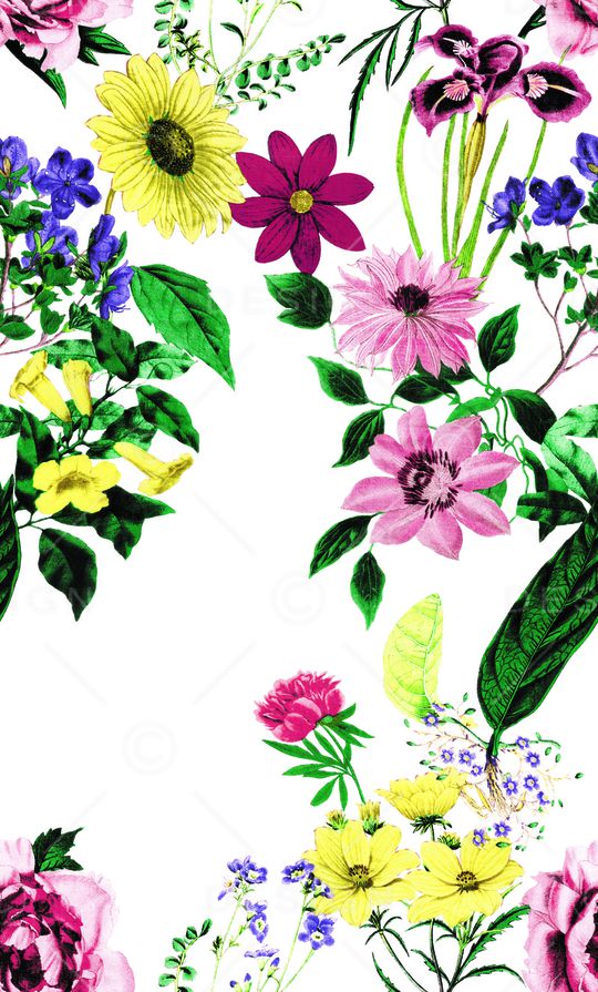 淑女印花华亿平台图片