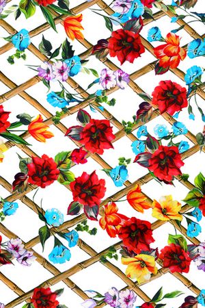 淑女印花华亿平台图片