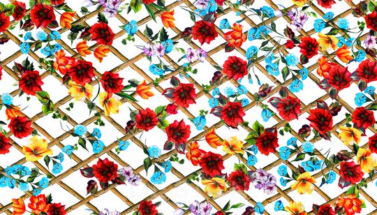 淑女印花华亿平台图片