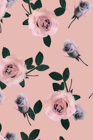 线条画印花华亿平台图片