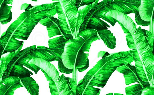 线条画印花华亿平台图片