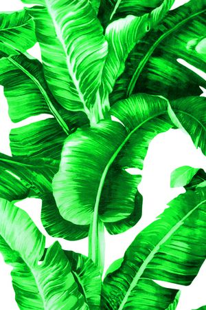 线条画印花华亿平台图片