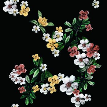 线条画印花华亿平台图片