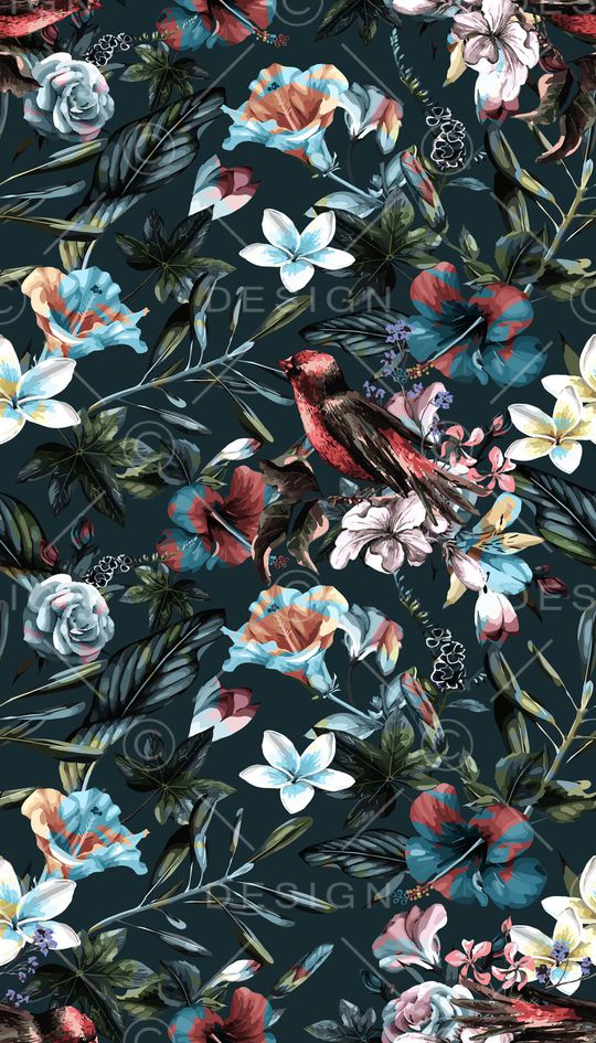 女装印花华亿平台图片