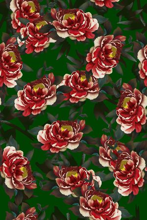 女装印花华亿平台图片