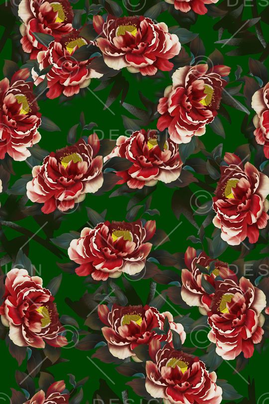 女装印花华亿平台图片