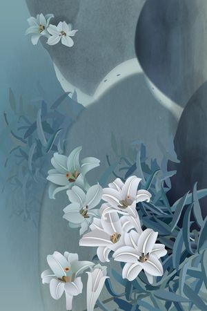 女装印花华亿平台图片