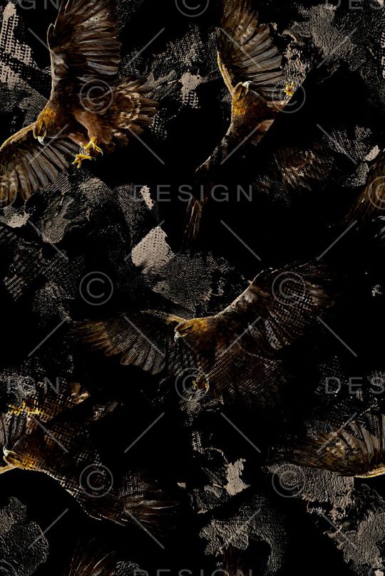 老鹰印花华亿平台图片