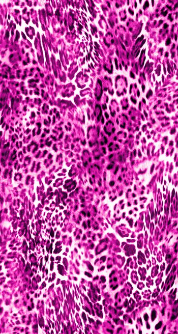 动物纹印花华亿平台图片