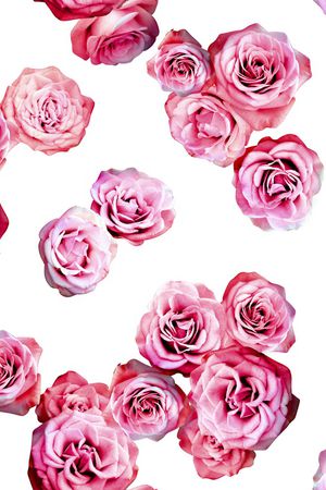 清爽底花卉印花华亿平台图片