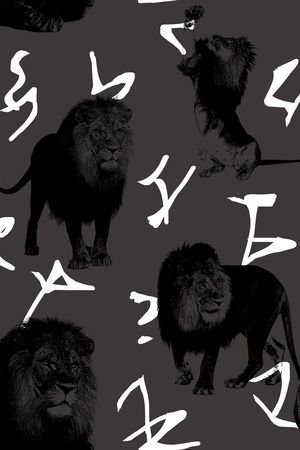 狮子印花华亿平台图片