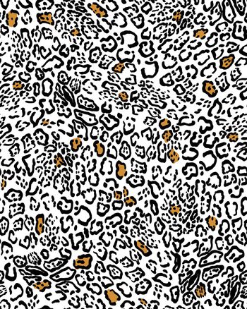 1137262-ADCSSD1203-1