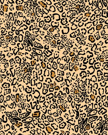 1137263-ADCSSD1203-2