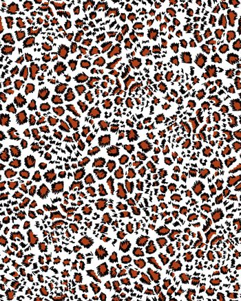 1137270-ADCSSD1204-3