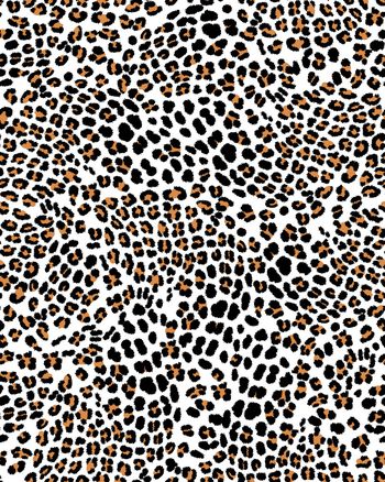 1137273-ADCSSD1205-1