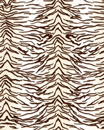 1137278-ADCSSD1206-1