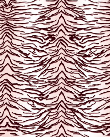 1137279-ADCSSD1206-2