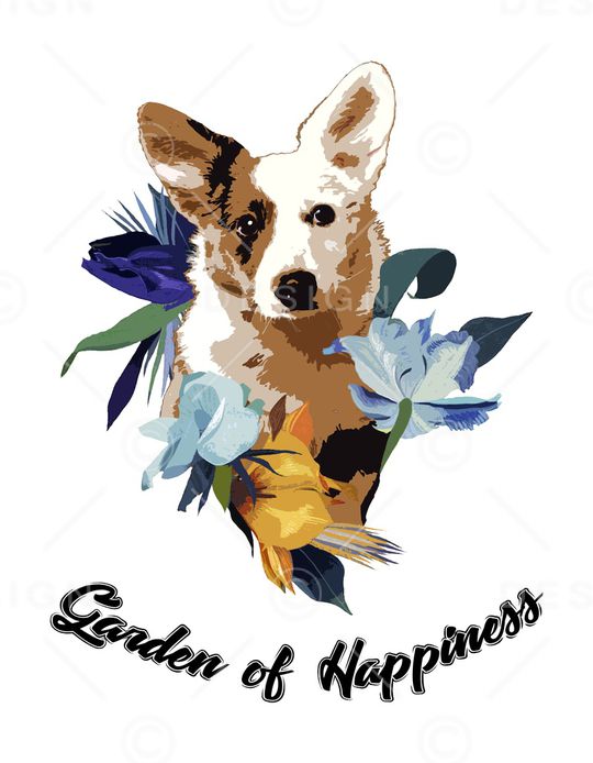 字母印花华亿平台图片