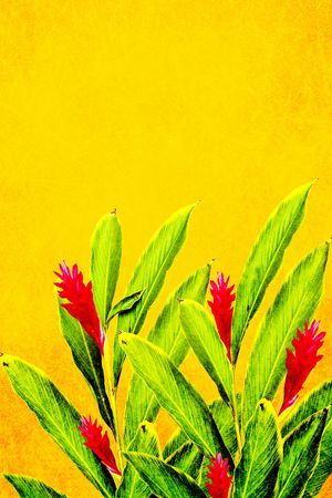 大花印花华亿平台图片