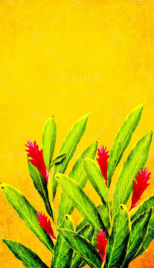 大花印花华亿平台图片