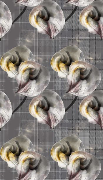 格子印花华亿平台图片