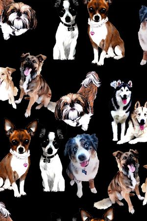 猫印花华亿平台图片