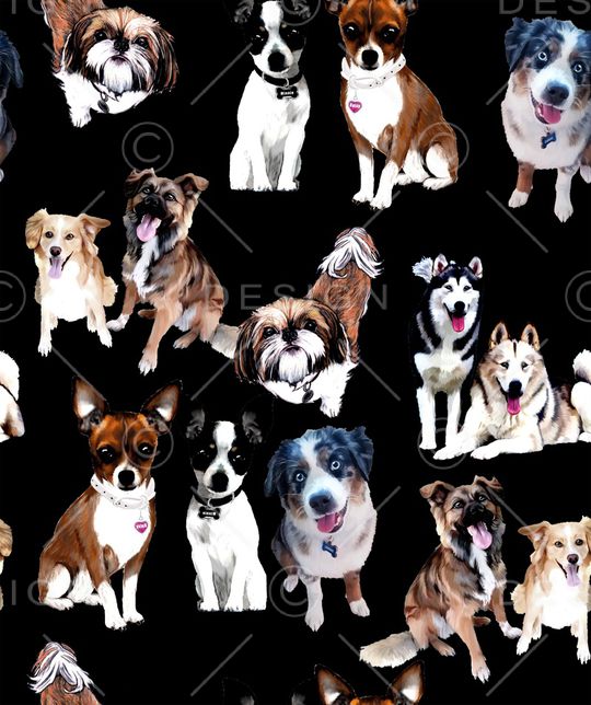 猫印花华亿平台图片