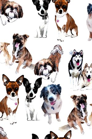 猫印花华亿平台图片