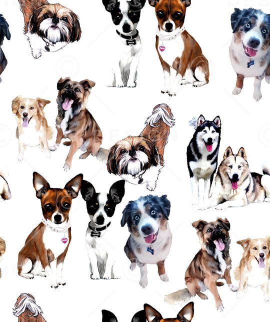 猫印花华亿平台图片