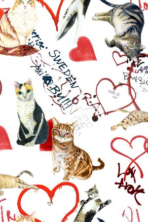 猫印花华亿平台图片