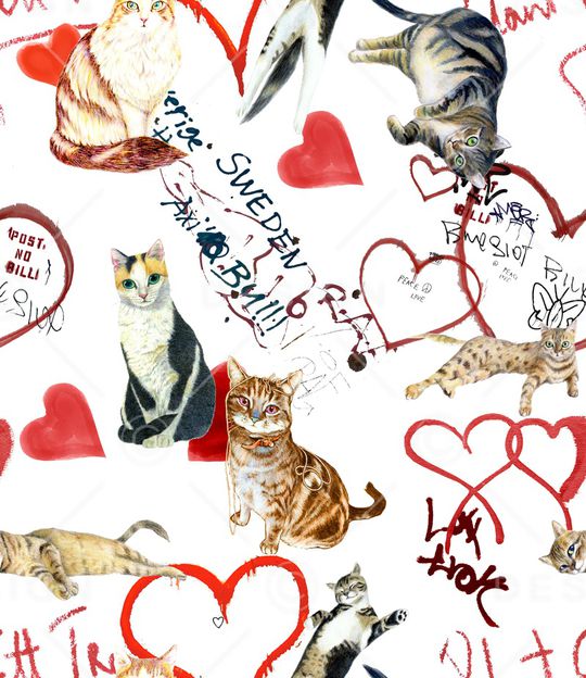 猫印花华亿平台图片