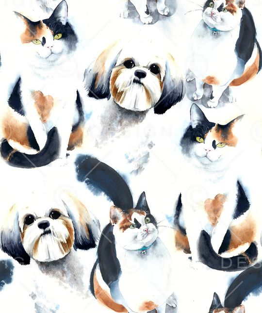 猫印花华亿平台图片