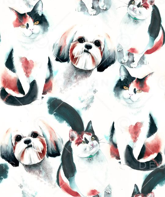 猫印花华亿平台图片