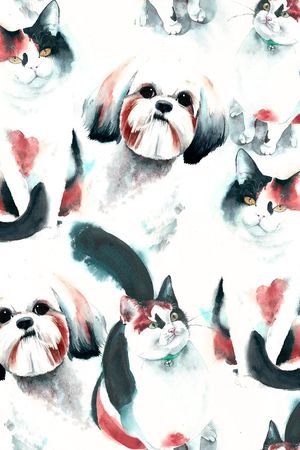 猫印花华亿平台图片