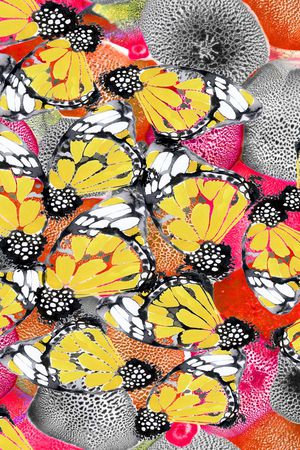 手绘印花华亿平台图片