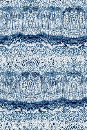 时尚印花华亿平台图片