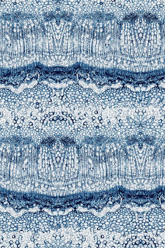 时尚印花华亿平台图片