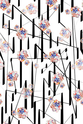 1138106-植物多肉2