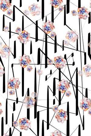 线条印花华亿平台图片