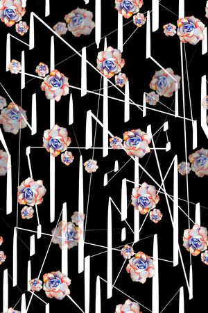 线条印花华亿平台图片