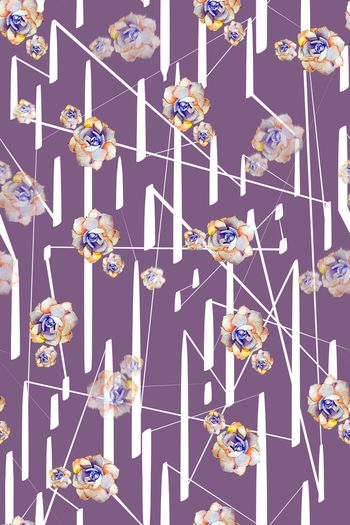 1138108-植物多肉3