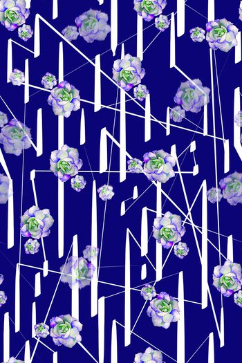 1138109-植物多肉4