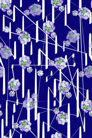 线条印花华亿平台图片