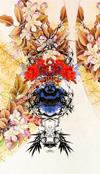 1138237-dfgdfgdghhjj