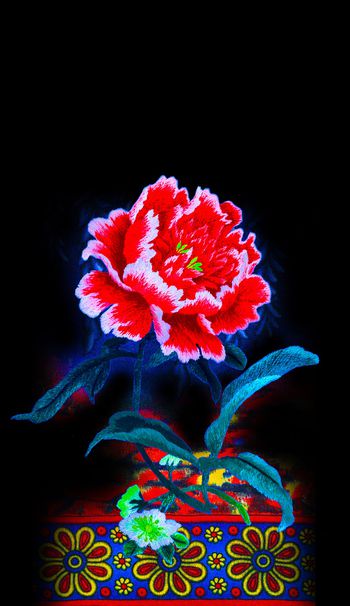 1138242-dfgdfgerertt1